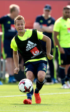 Sveriges Joel Allansson