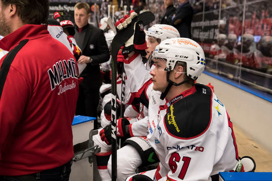 Malmö Redhawks Nicklas Jadeland deppar i båset