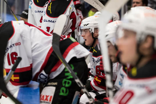 Malmö Redhawks Fredrik Händemark deppar i båset
