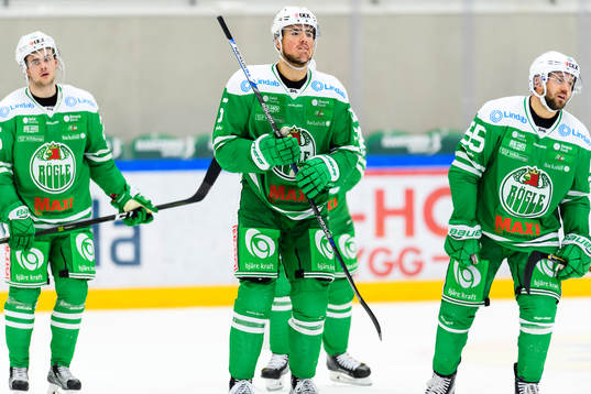 Rögles Ludvig Elvenes,Alen Bibic och Felix Schütz deppar