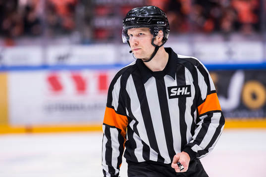 Domare Christer Lärking