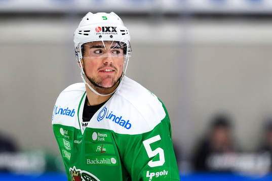 Rögles Alen Bibic