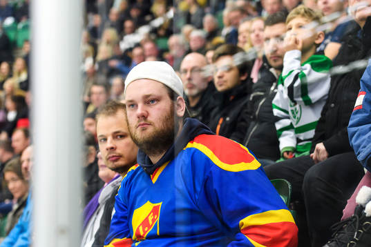 En Djurgården supporter