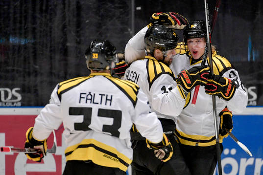 Brynäs Johan Alcén jublar