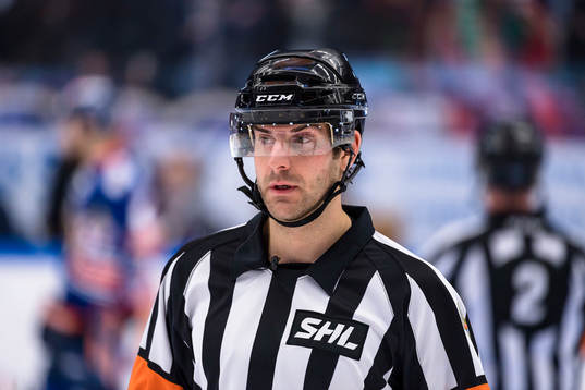Domare Mikael Sjöqvist