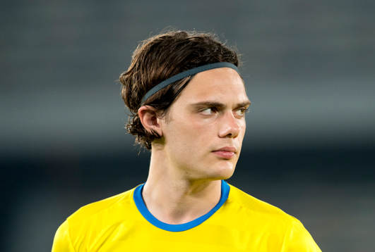 Sveriges David Moberg Karlsson