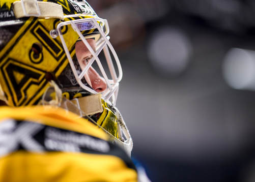 Skellefteås målvakt Gustaf Lindvall på uppvärmningen