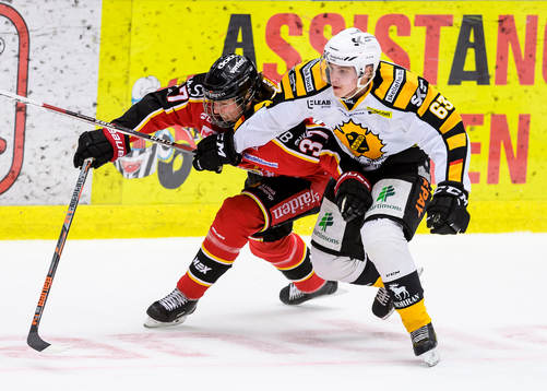 Bläddra bland fler bilder av Ishockey, SHL, Luleå - Skellefteå