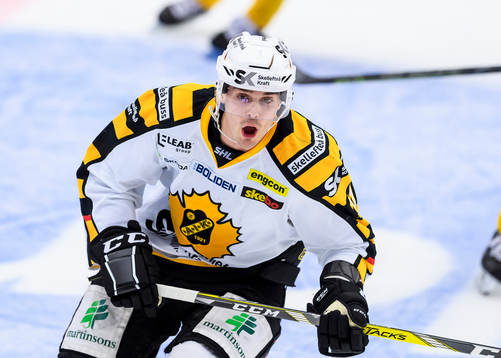Skellefteås Henrik Hetta