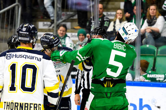 s Ted Brithén och Rögles Alen Bibic i slagsmål