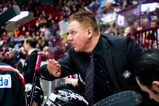 Malmö Redhawks assisterande tränare Jesper Mattsson