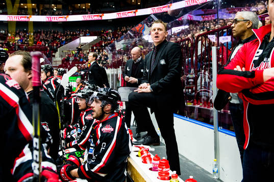 Malmö Redhawks assisterande tränare Jesper Mattsson