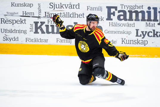 Brynäs Johan Alcén