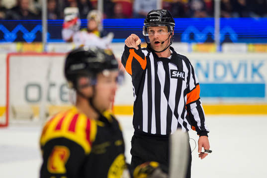 Domare Mikael Nord