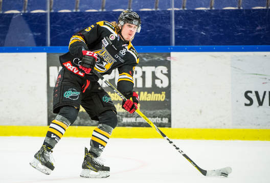 Panterns Jesper Mångs