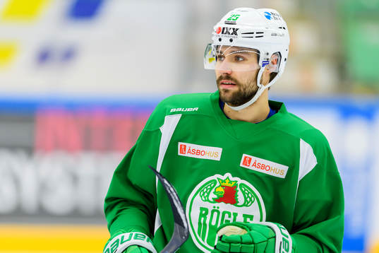 Rögles Ludvig Rensfeldt