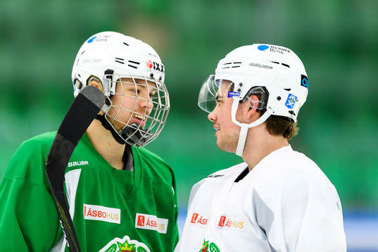 Rögles Lucas Elvenes och Ludvig Elvenes
