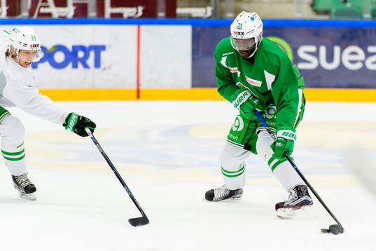 Rögles Edwin Hedberg och Samuel Jonsson