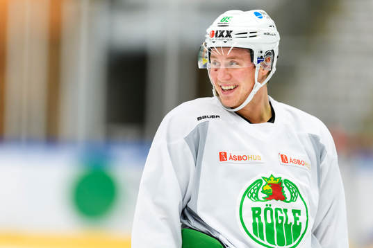 Rögles David Åslin