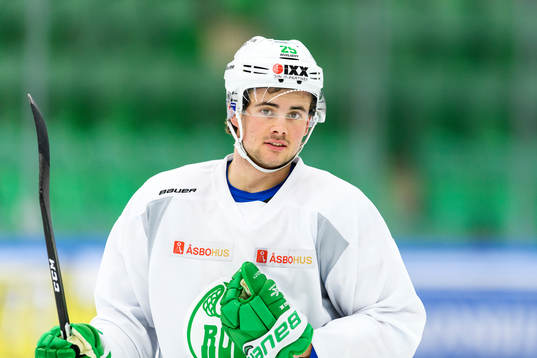 Rögles Ludvig Elvenes