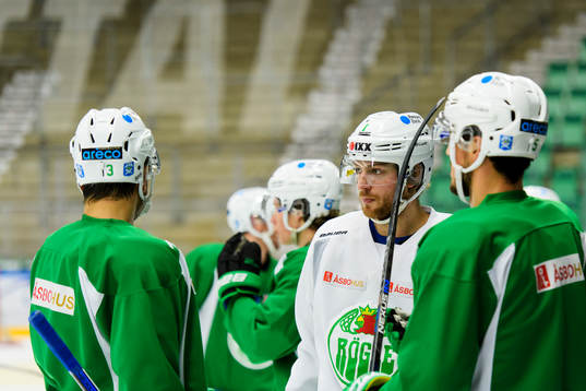 Rögles Almen Bibic, Christopher Liljewall och Alen Bibic