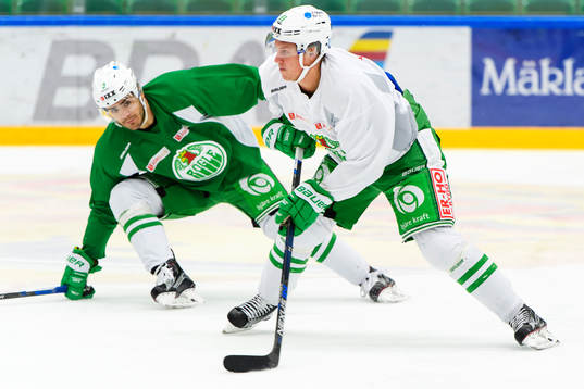 Rögles Almen Bibic och David Åslin