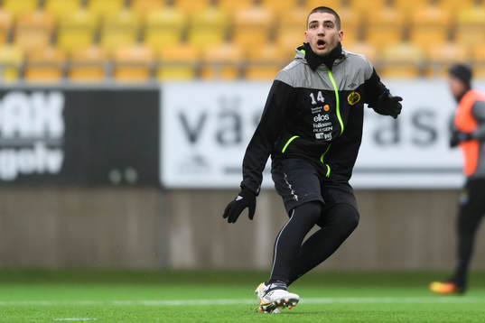 Ibrahim Dresevic