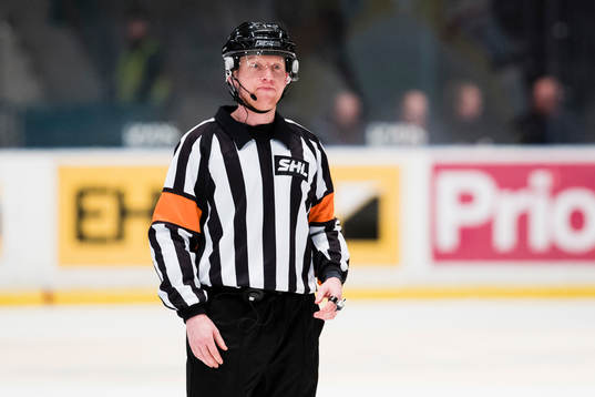 Domare Mikael Holm