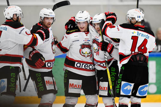 Malmö Redhawks spelare jublar