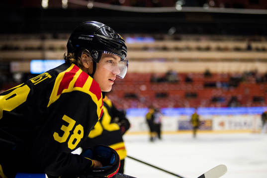 Brynäs Jesper Boqvist