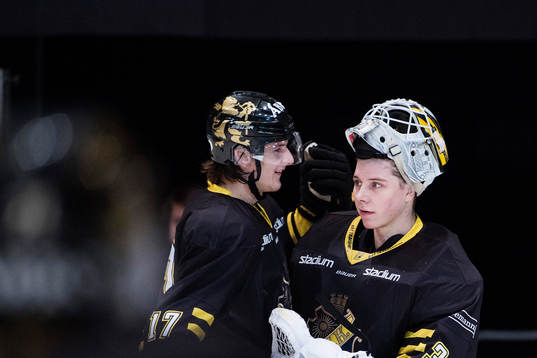 Bläddra bland fler bilder av Ishockey, Hockeyallsvenskan, AIK - Pantern