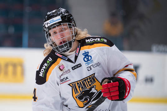 Panterns Sylvegård, Marcus Sylvegård