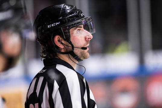 Domare Mikael Sjöqvist