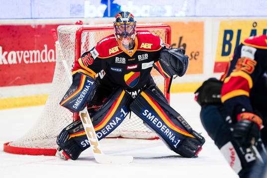 Djurgårdens målvakt Mikael Tellqvist