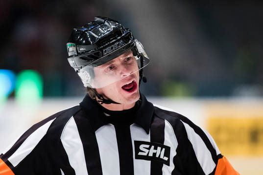 Domare Mikael Andersson