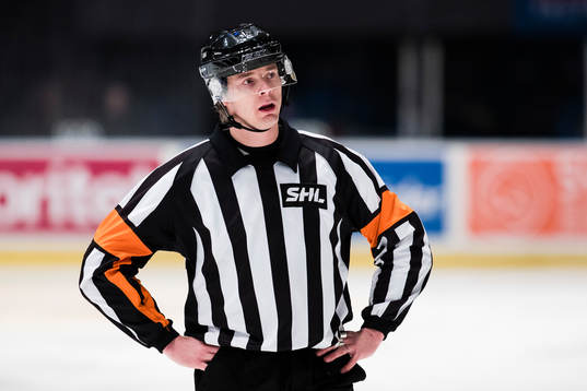 Domare Mikael Andersson