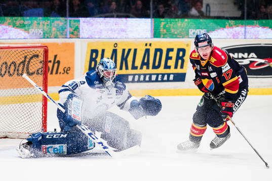 Leksands målvakt Henrik Haukeland och Djurgårdens Henrik