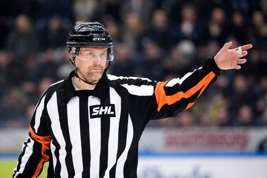 Domare Mikael Nord