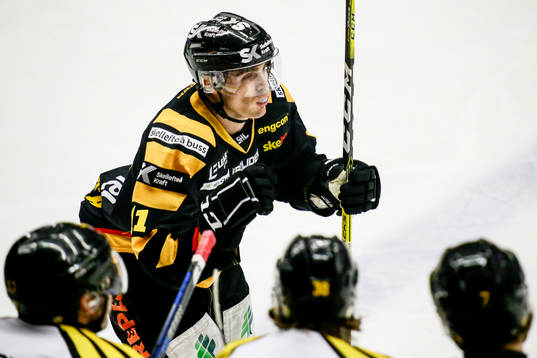 Skellefteås Henrik Hetta jublar