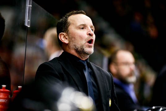 Brynäs tränare Thomas Berglund