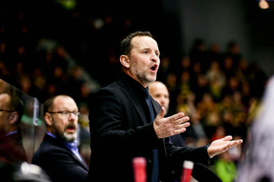 Brynäs tränare Thomas Berglund