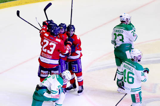 Linköpings Niklas Fogström jublar