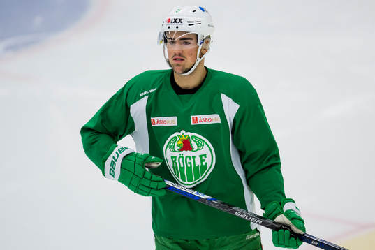 Rögles Alen Bibic