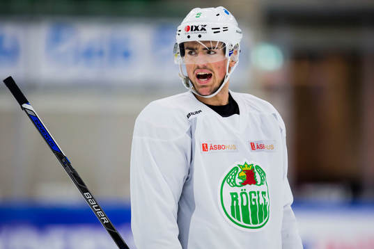 Rögles Alen Bibic