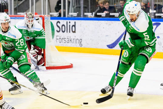 Rögles Alen Bibic
