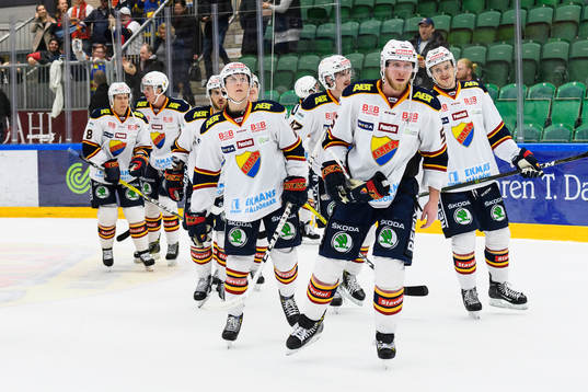 Djurgårdens spelare jublar när de lämnar isen