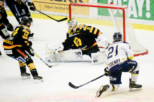 Hv71 Mattias Tedenby jublar