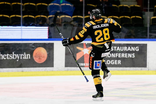 Skellefteås Johan Alm jublar