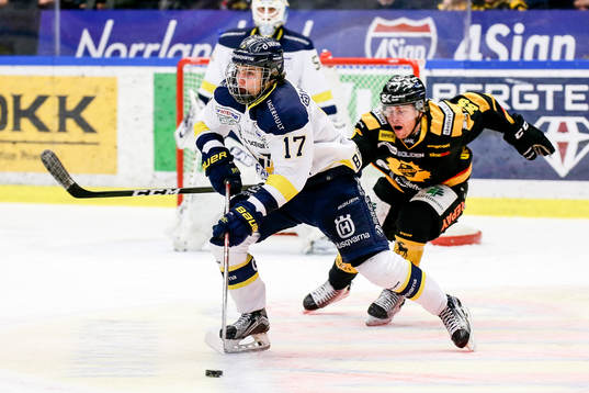 Hv71 Erik Brännström