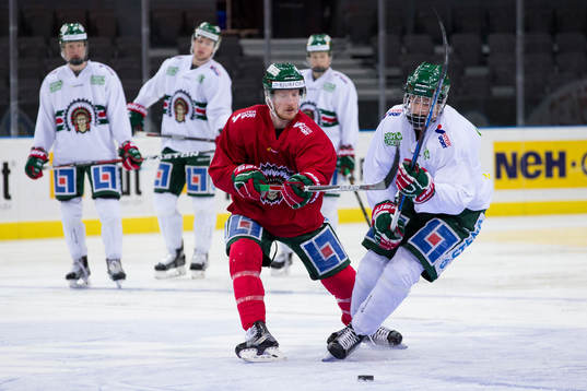 Frölundas Simon Hjalmarsson och Kristian Vesalainen i kamp